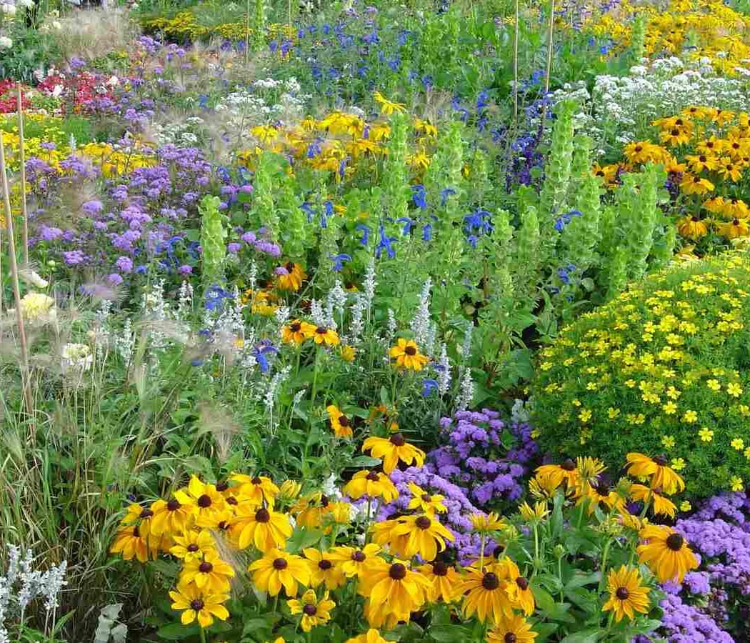 Gardening with an Ecological Mindset 3