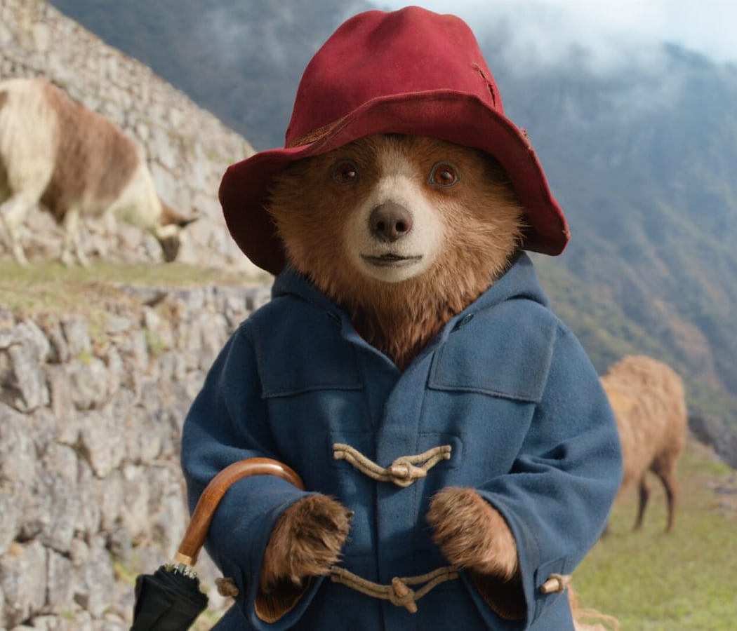 Paddington in Peru 3