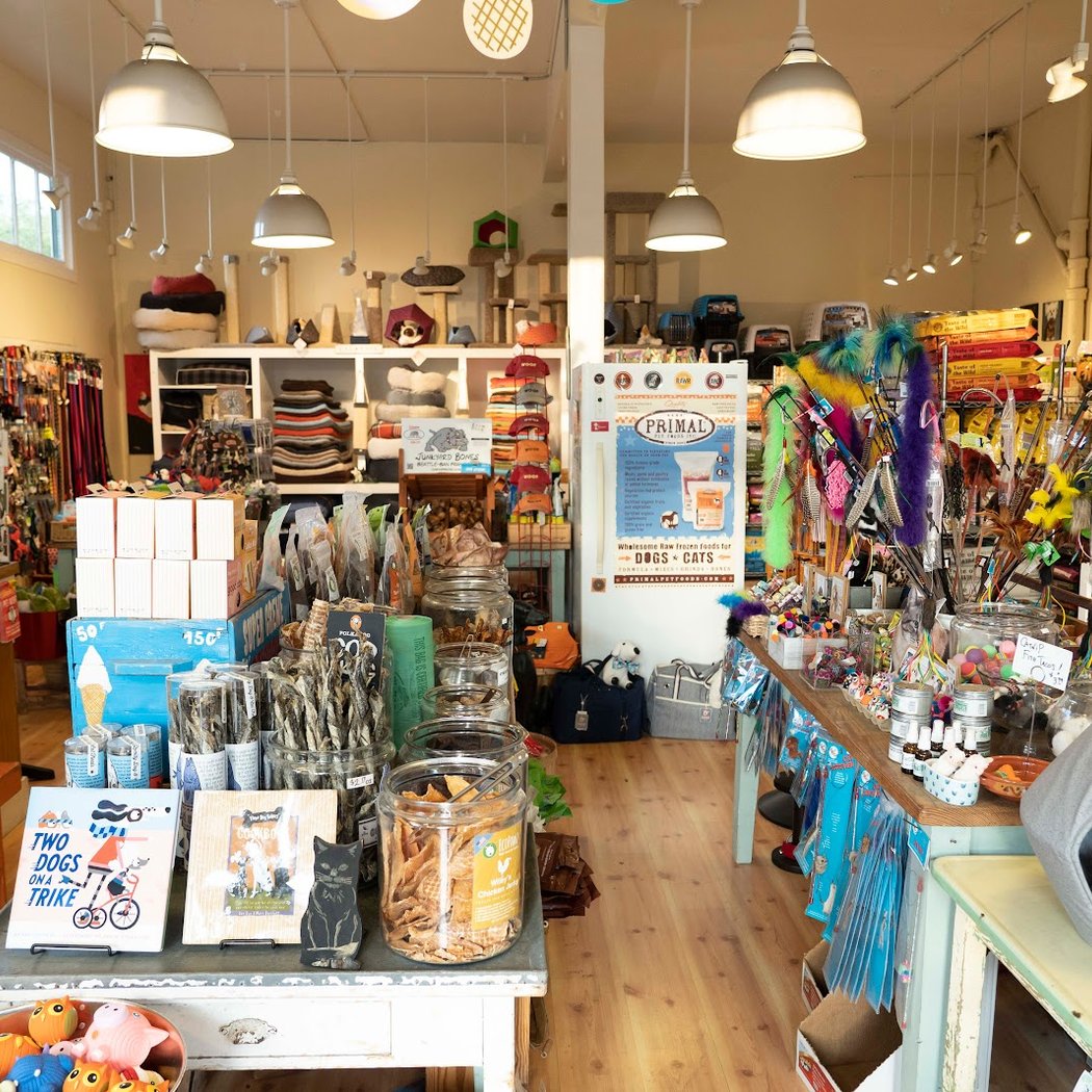 Noe Valley Pet Company 3