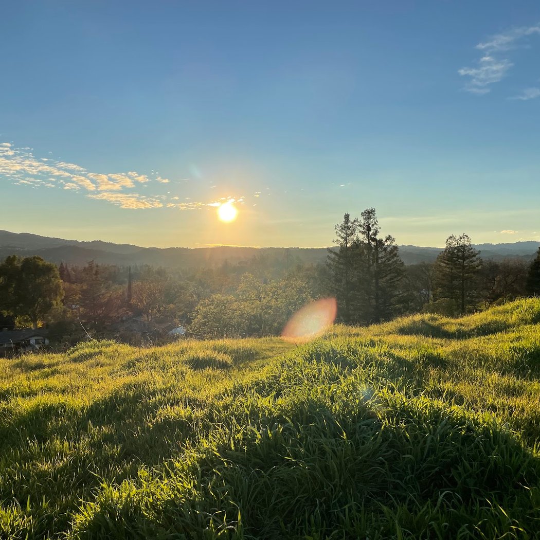 Shell Ridge 2