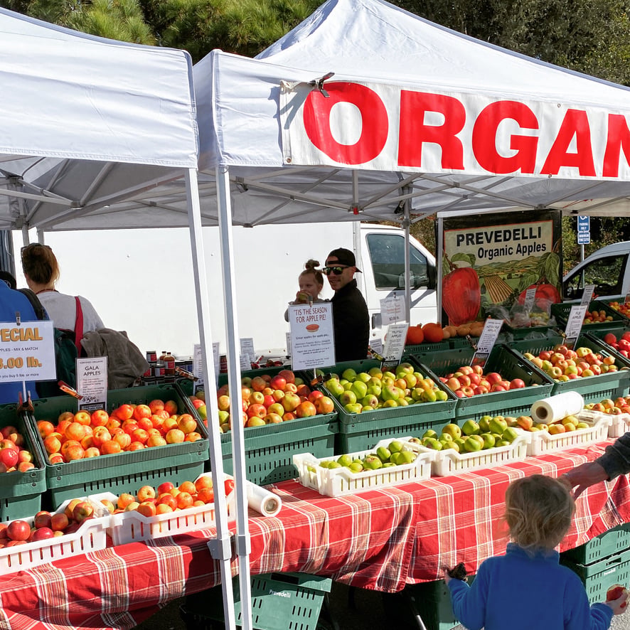 Aptos Farmers Market at Cabrillo College 1