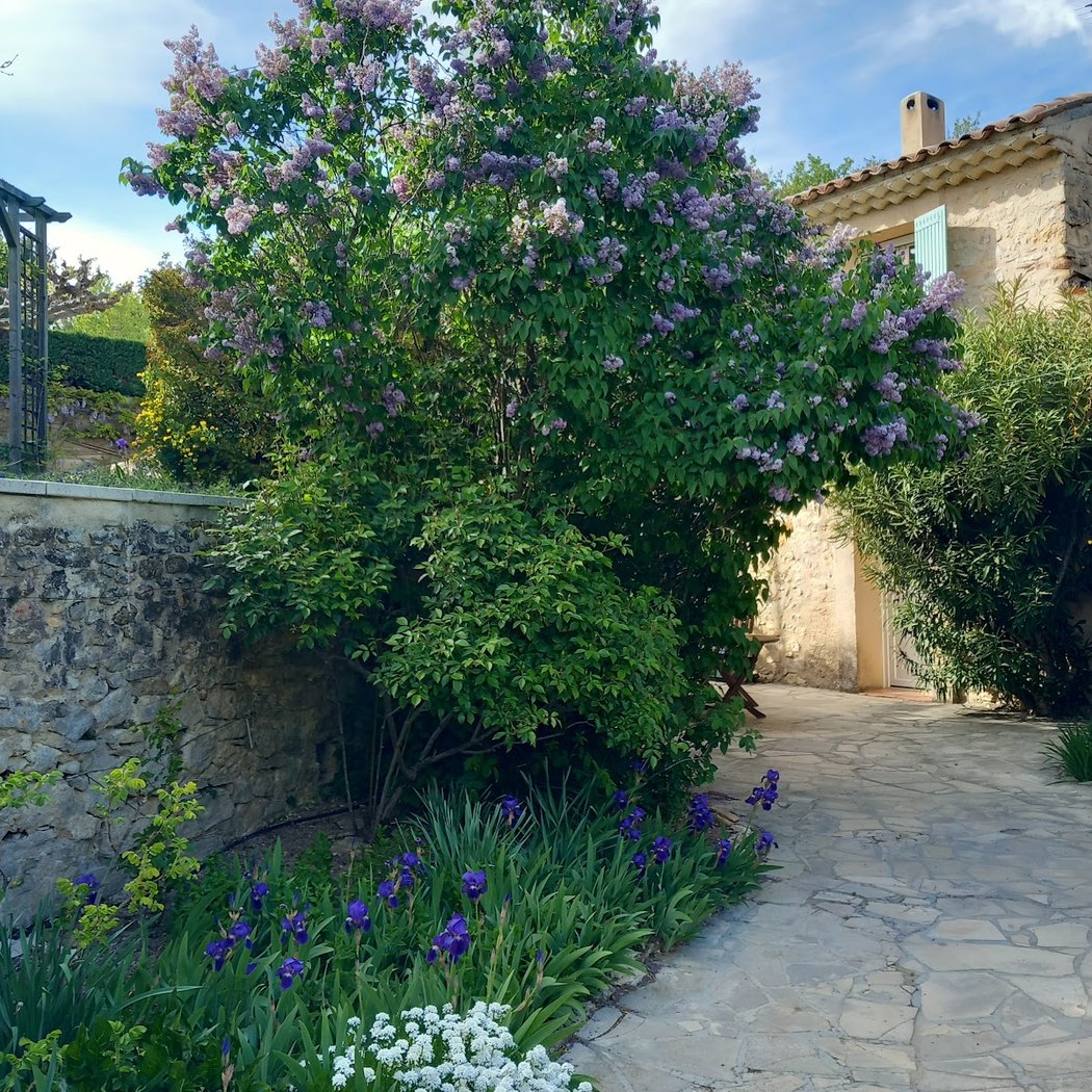 Le Moulin de la Bastide : Gîtes de caractère avec piscine dans le Sud Luberon. 2