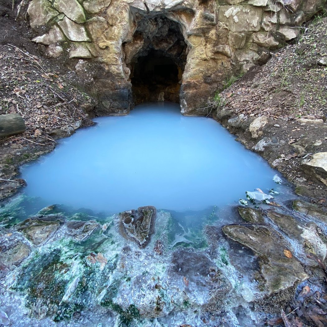 Bioblitz: Alum Rock Park 1