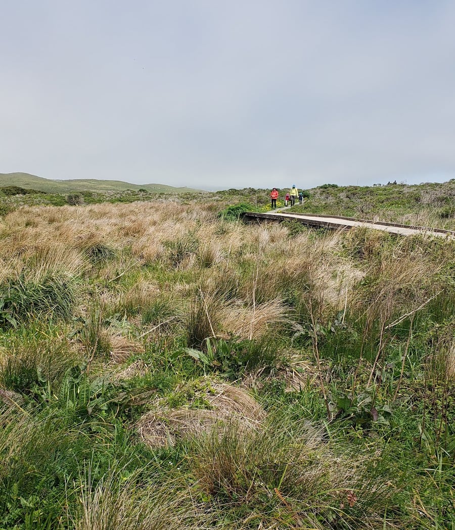 Abbotts Lagoon Trailhead 3