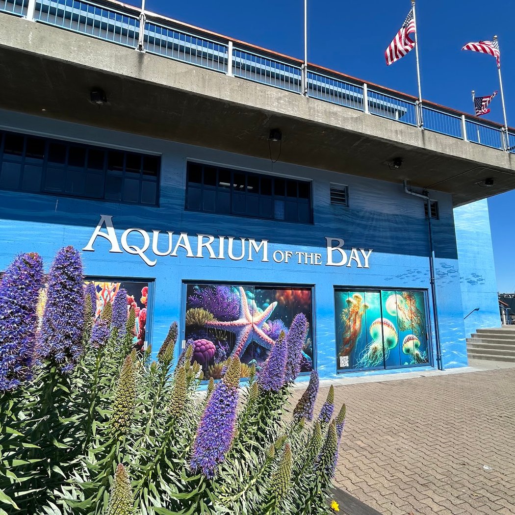 Aquarium of the Bay 5