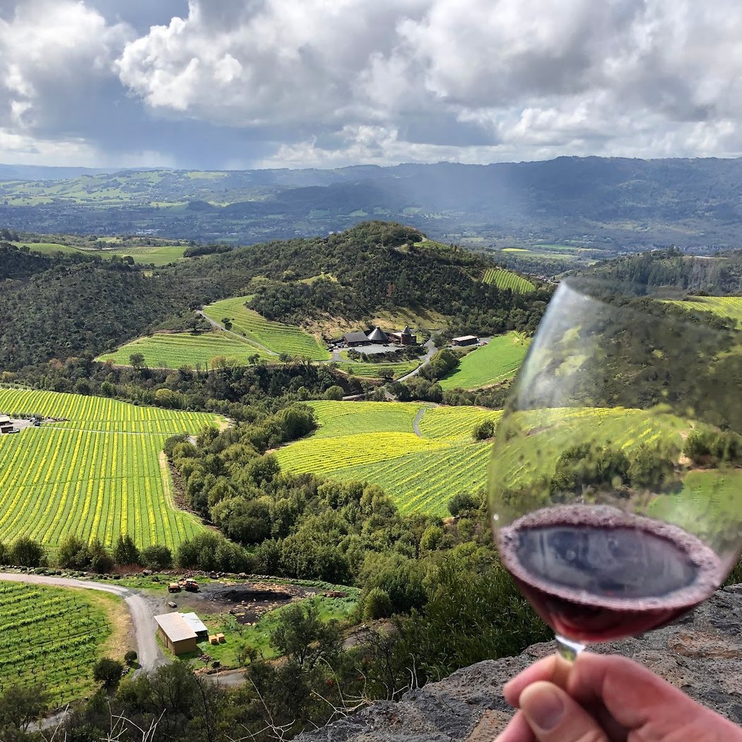 Rose Wine Tours 1