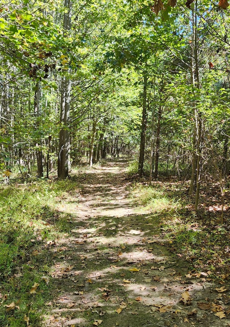 Pickering Creek Audubon Center 3