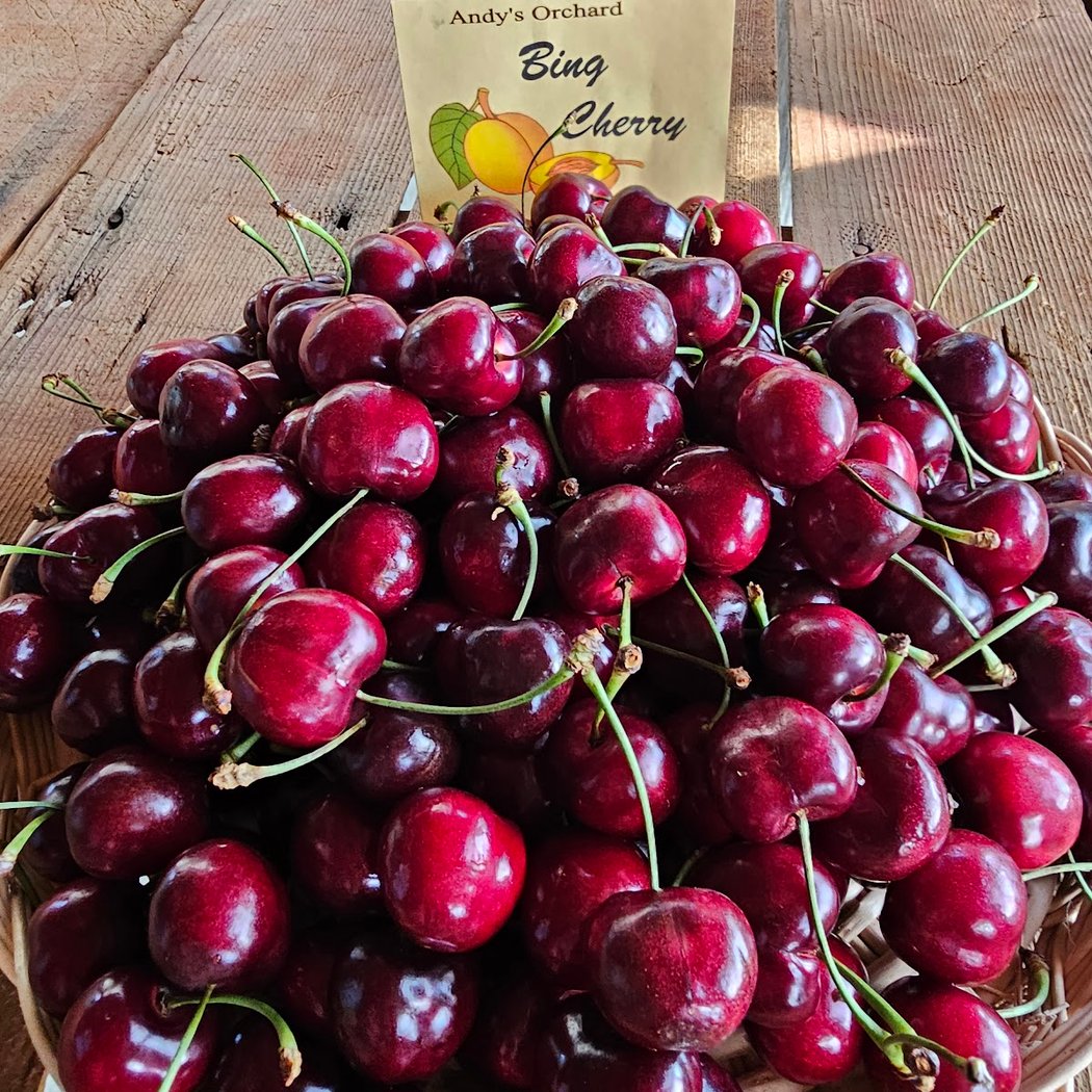 Fruit Tasting & Market