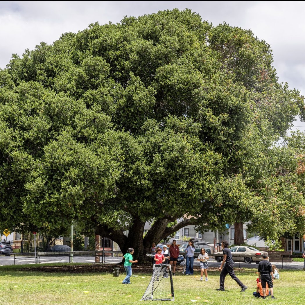 Manzanita Recreation Center 1