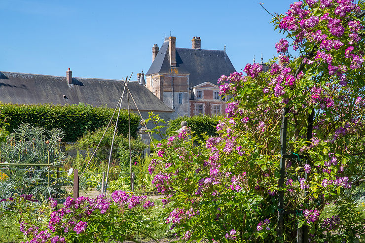 Château de la Bussiere 3
