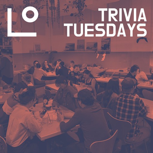 Trivia Night! 1
