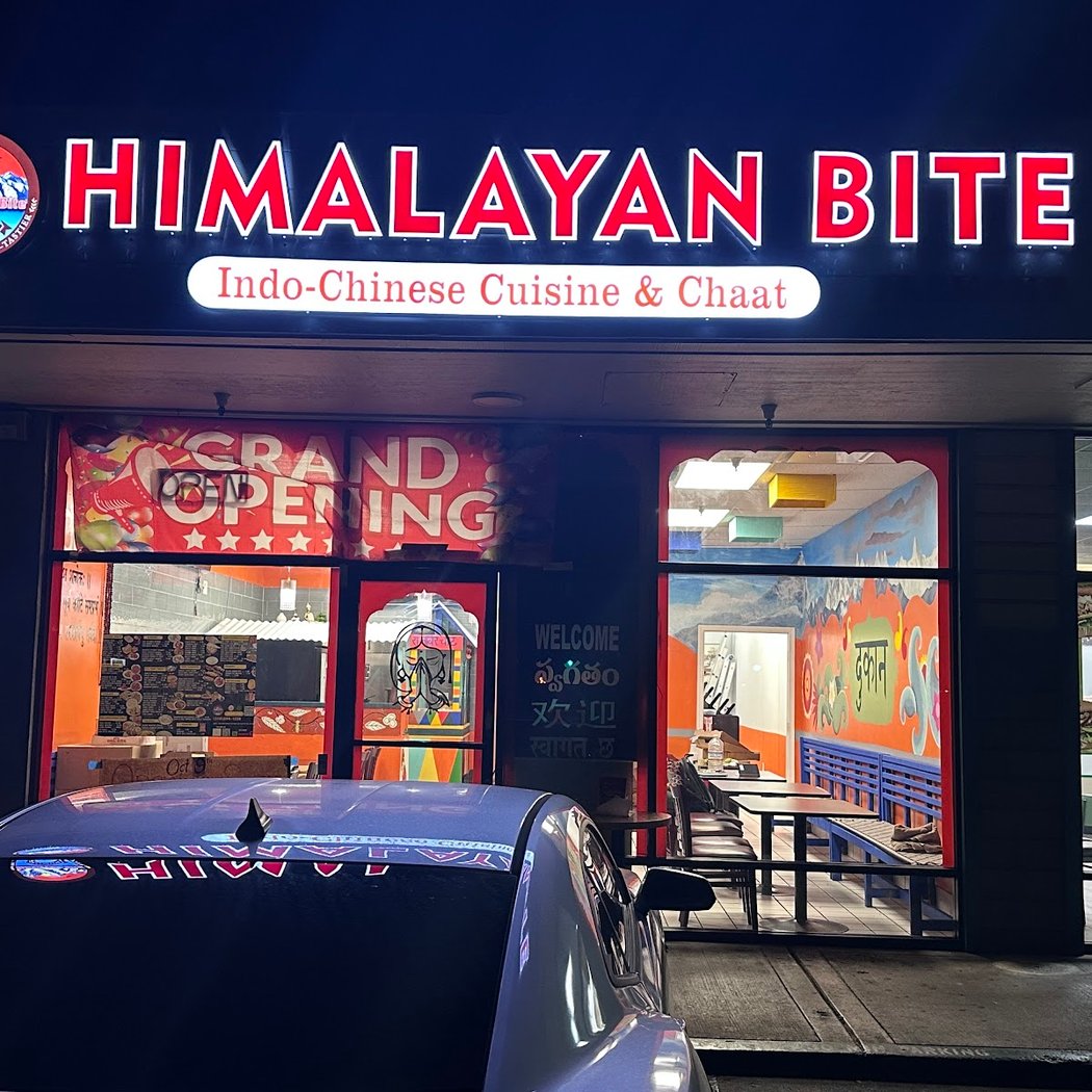 Himalayan Bite Indo-Chinese Cuisine & Chaat 2