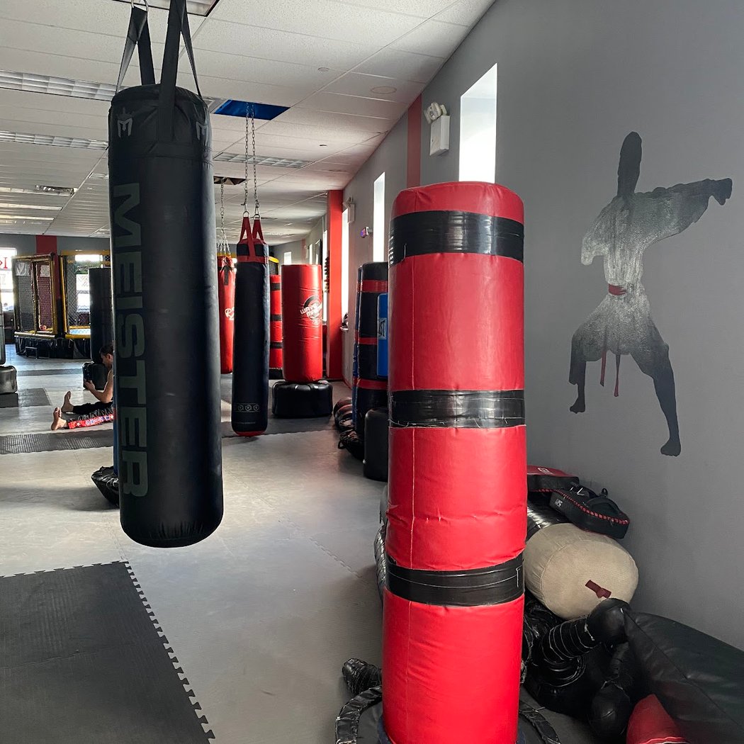 Metatron MMA 1