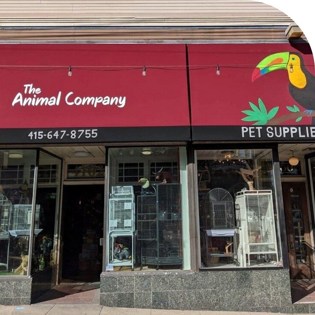 The Animal Company 2