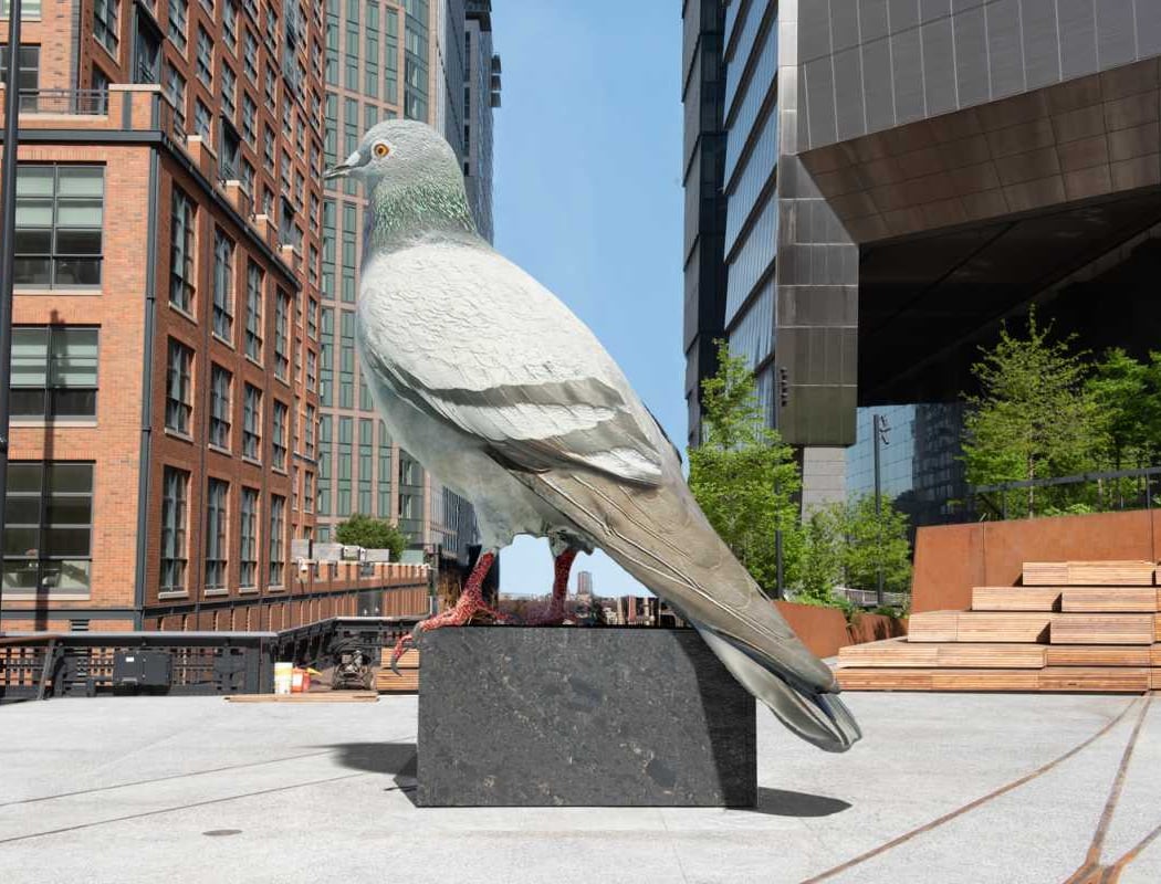Pigeon Statue 1