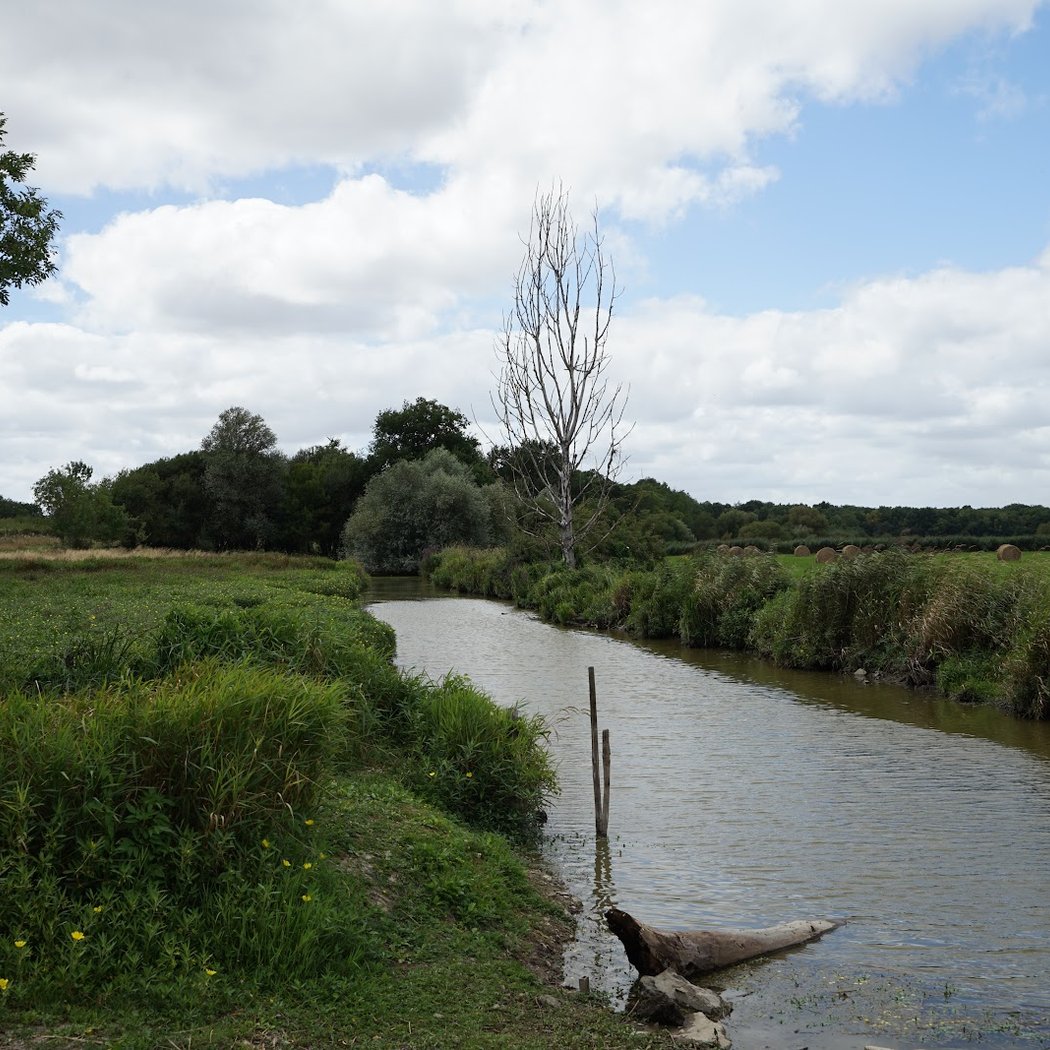 marais de Goulaine 4