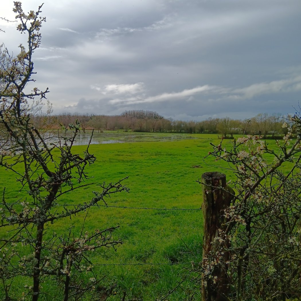 Port Launay 2