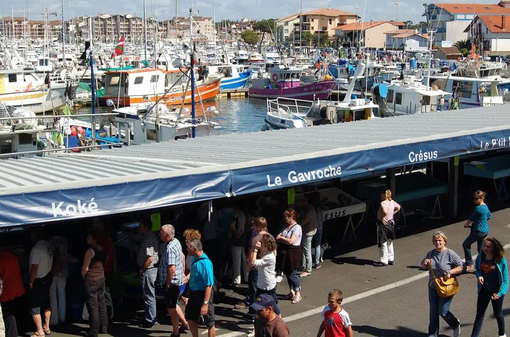 Capbreton Market 3
