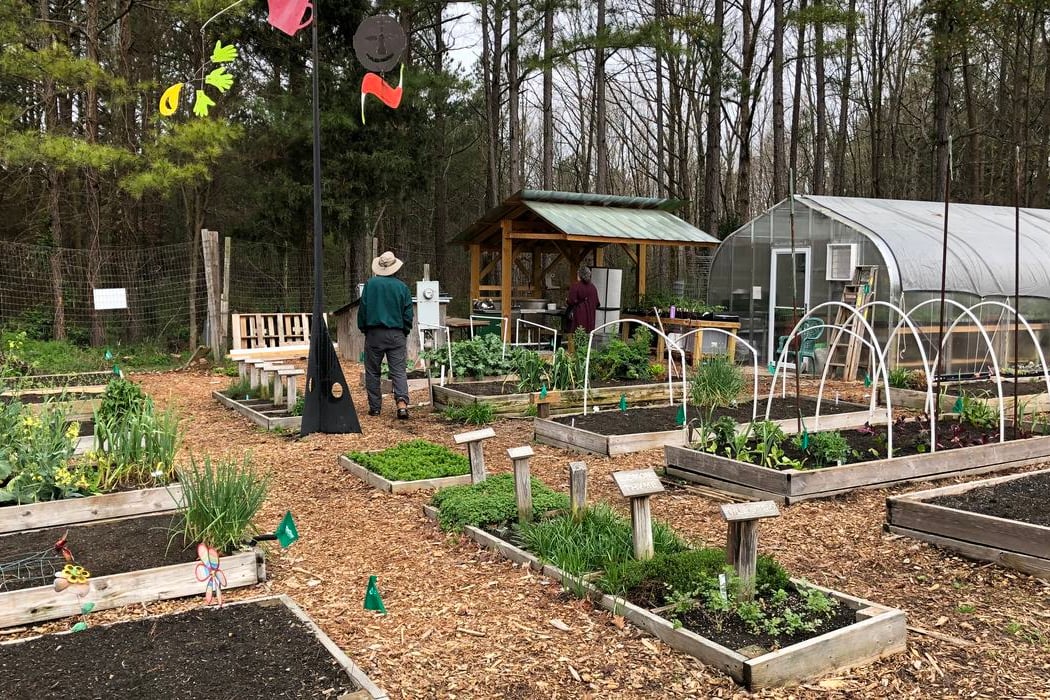 Briggs Avenue Community Garden 2