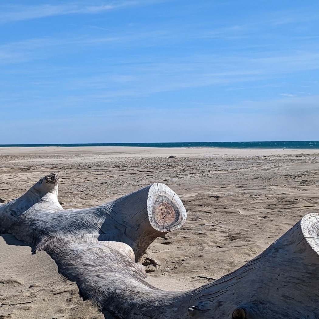 Plage de Piemanson 5
