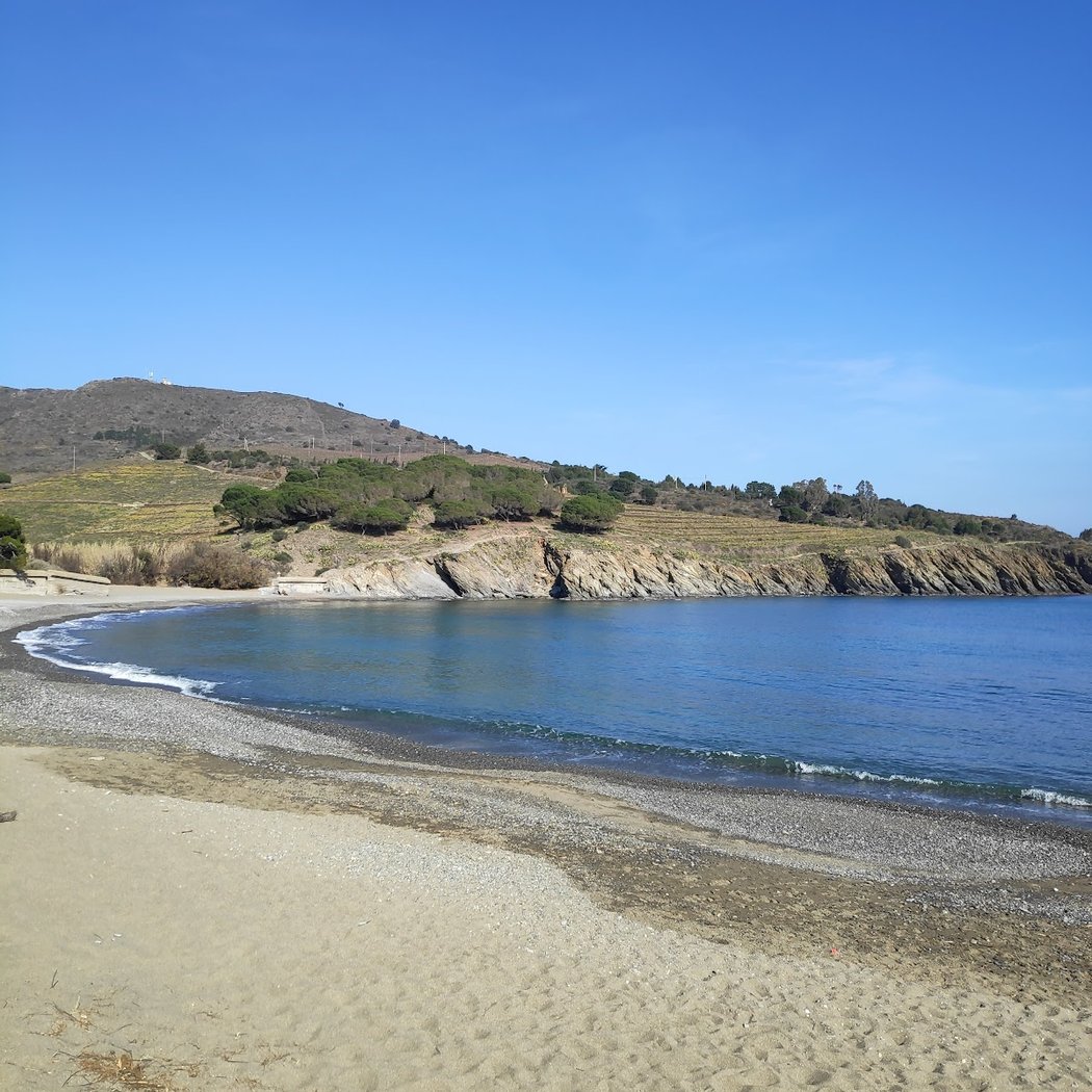 Plage de Bernardi 2