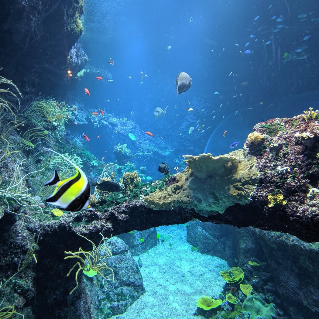 Behind-the-scenes tours of the Biarritz Aquarium 4