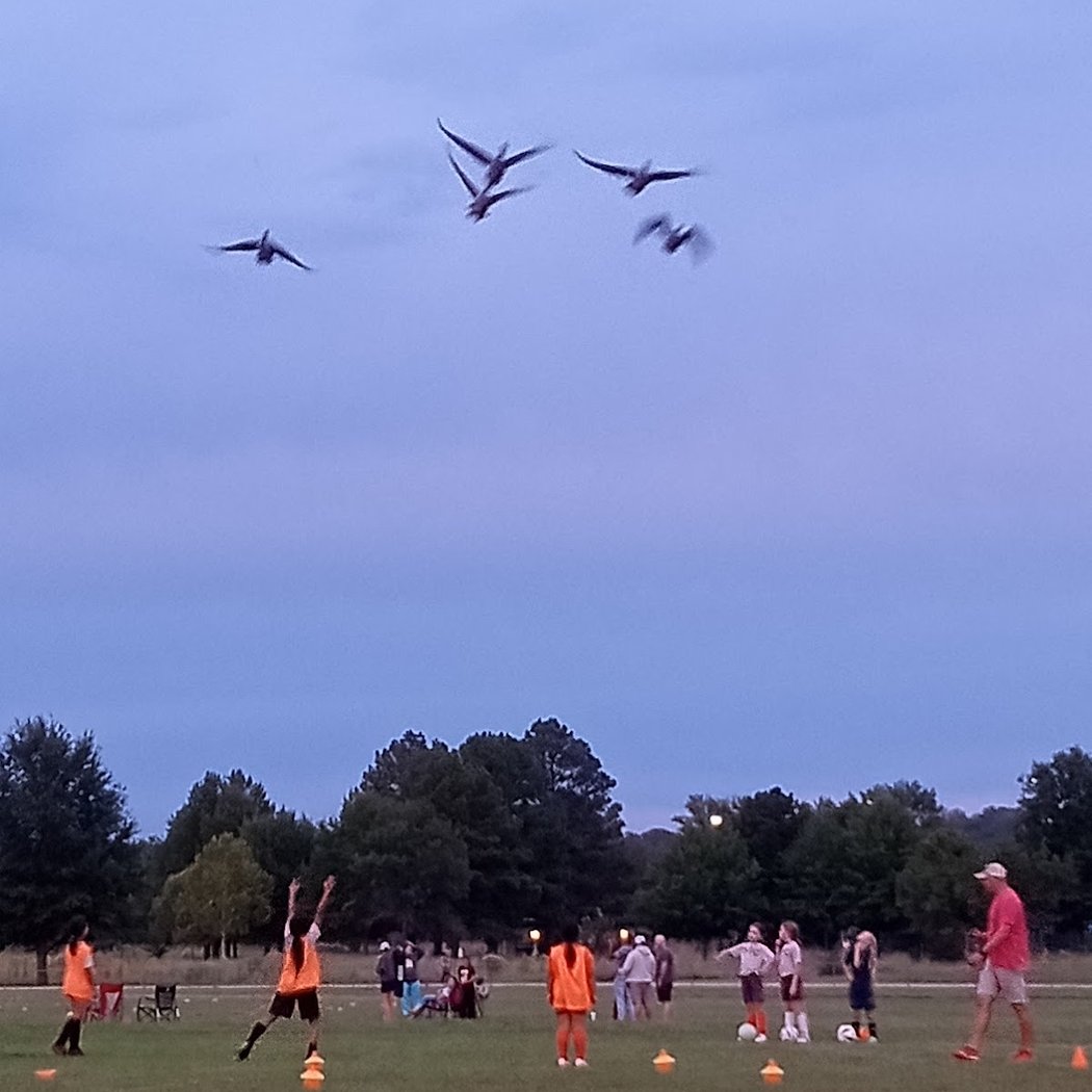 Ben Geren Regional Park 3