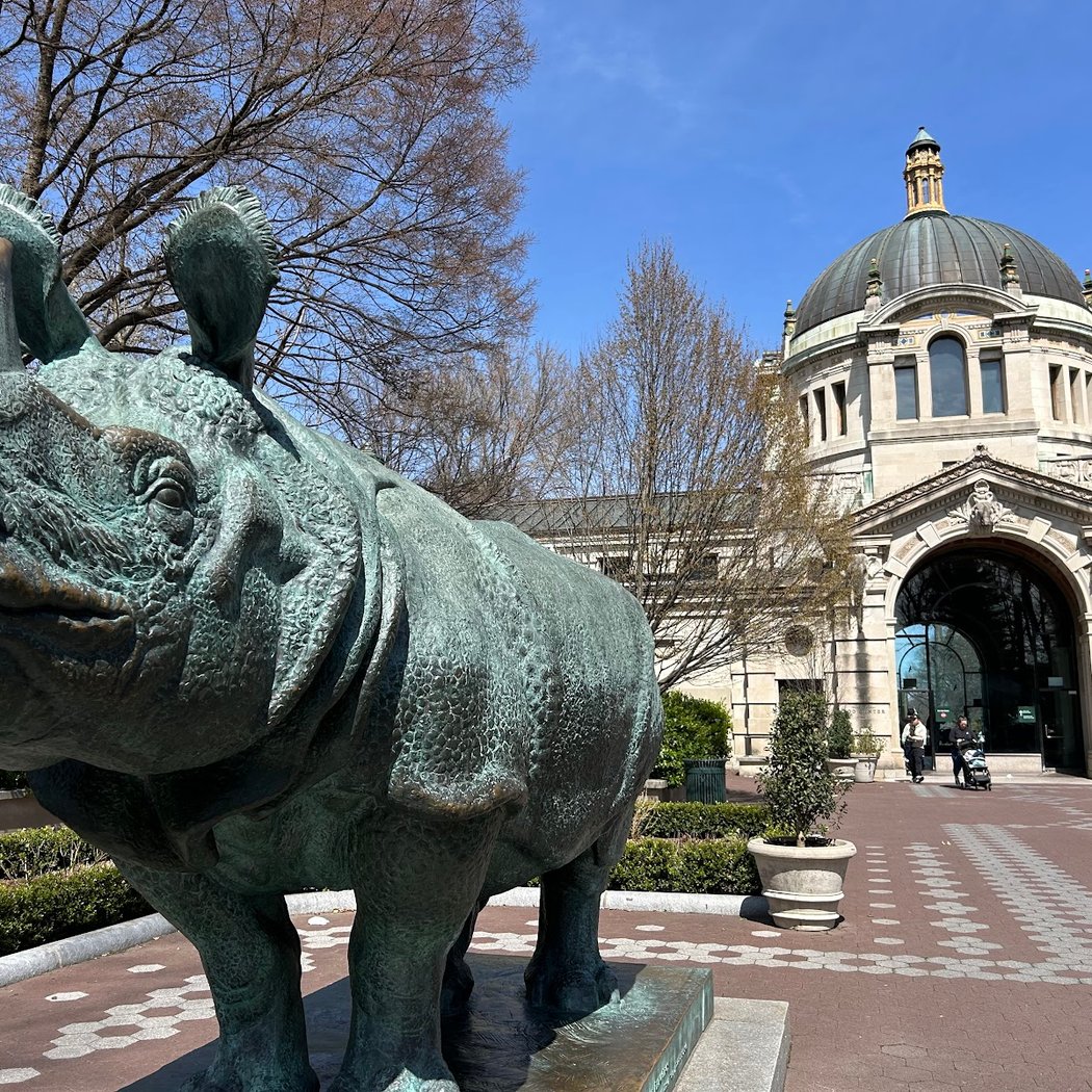 Bronx Zoo’s ‘Name a Roach’ 3