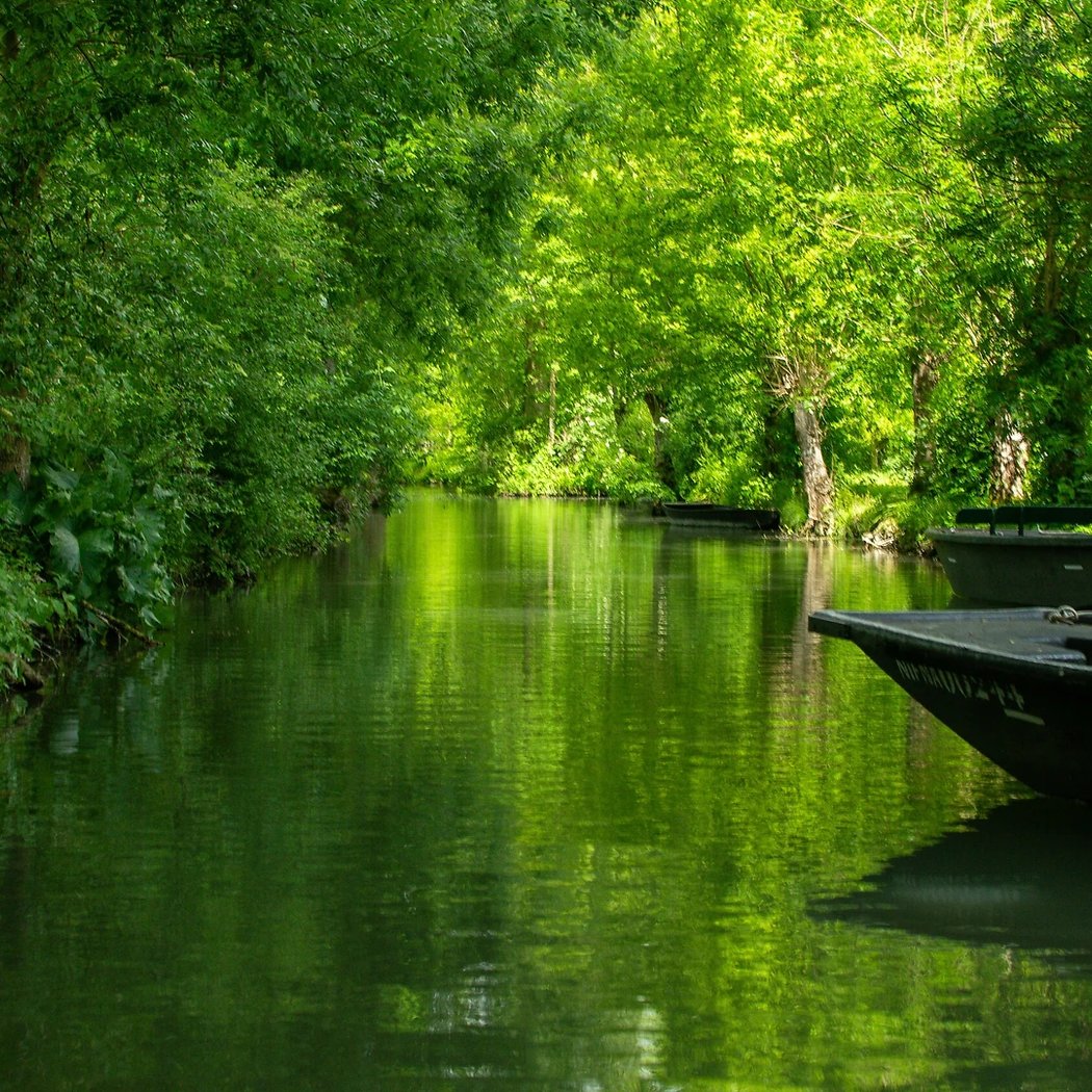 Regional Natural Park of the Marais Poitevin 1