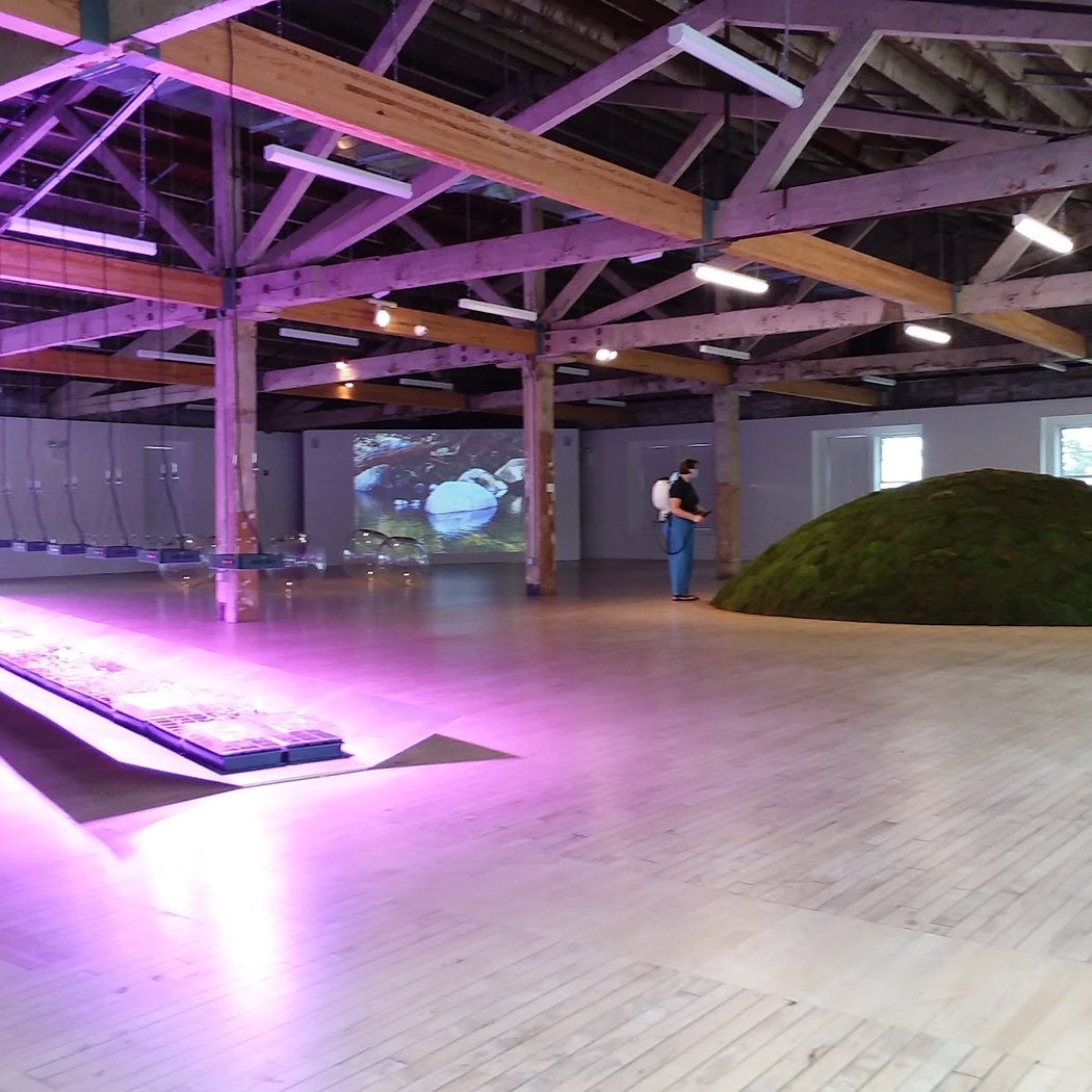 The Arts Center at Governors Island (Building 110) 5