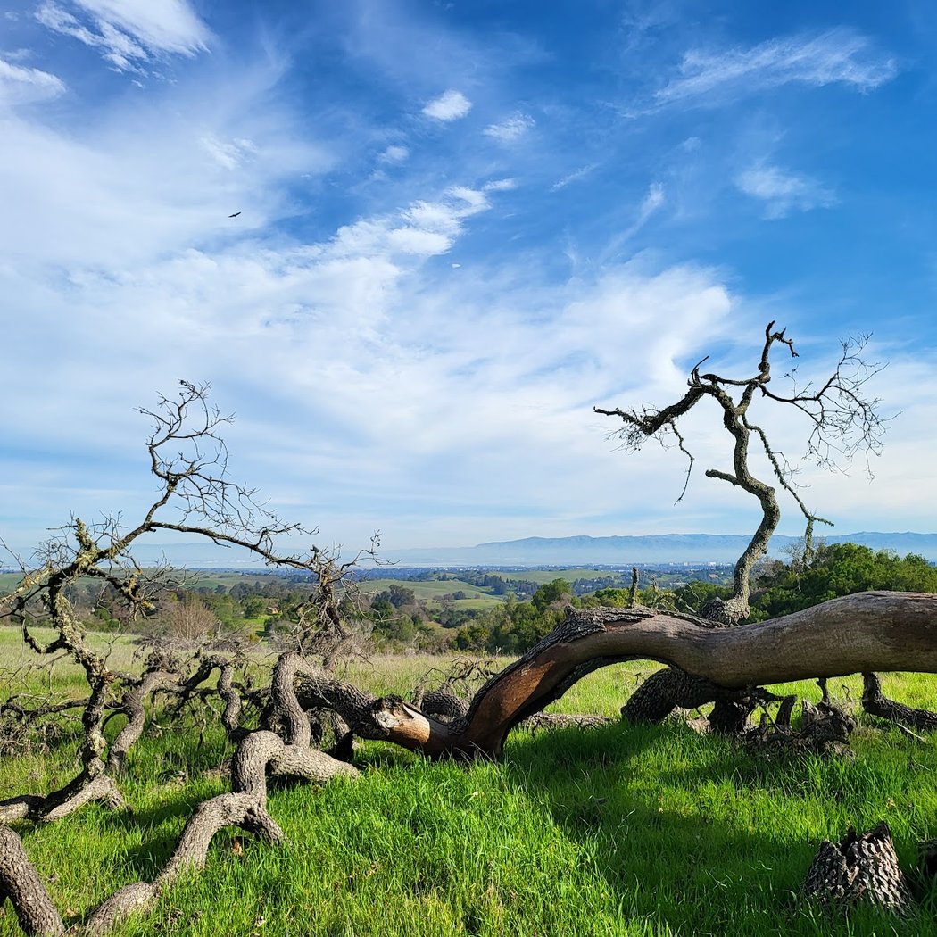 Arastradero Preserve Vista Point 1