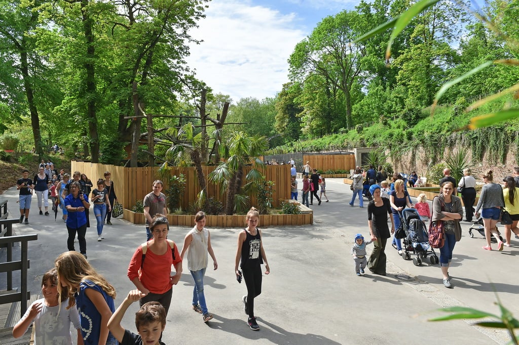 Zoo de Lille 2