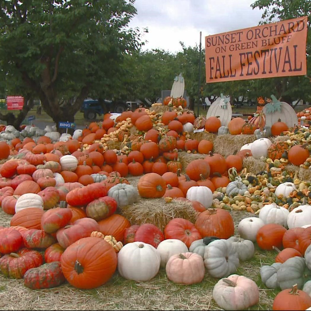 Fall Harvest Festival 1