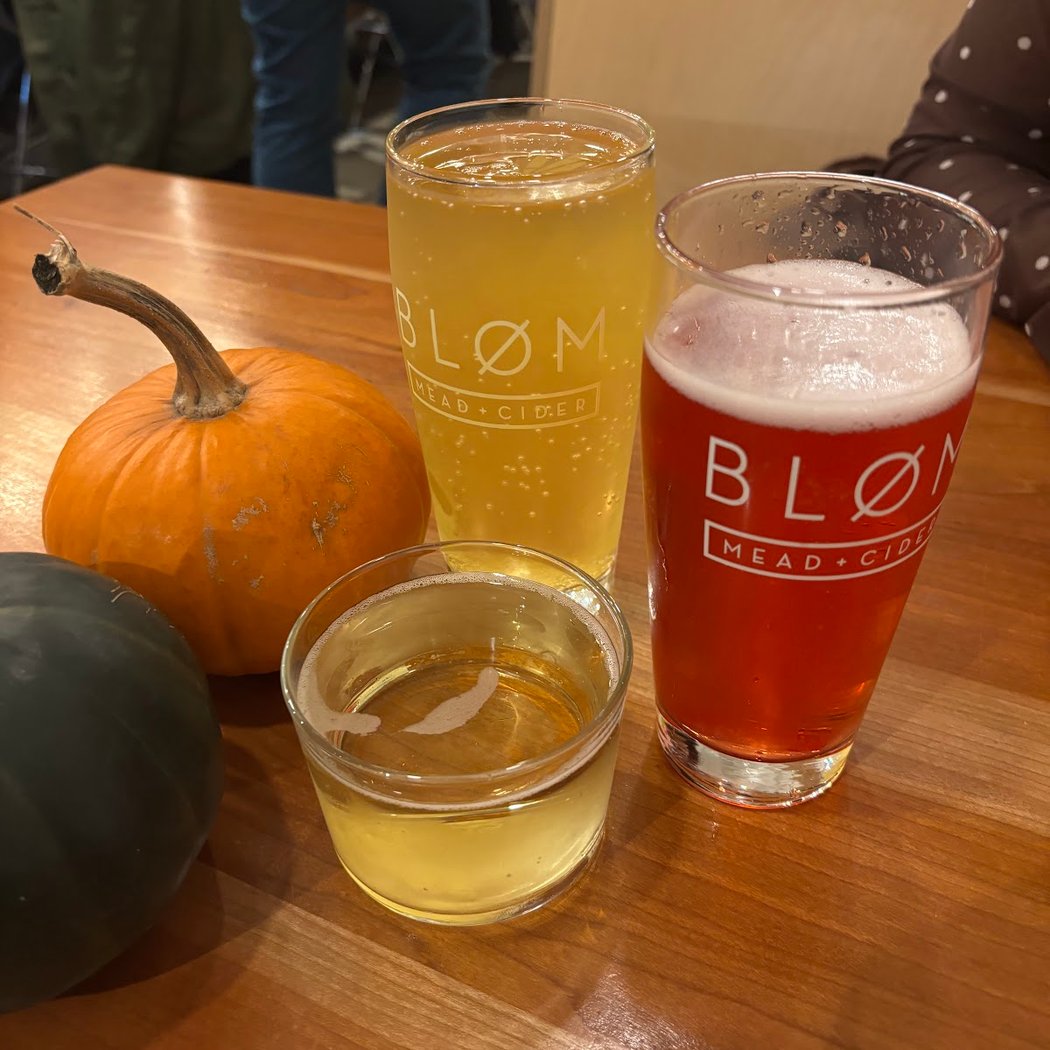 Bløm + Live Harp Pairing 3