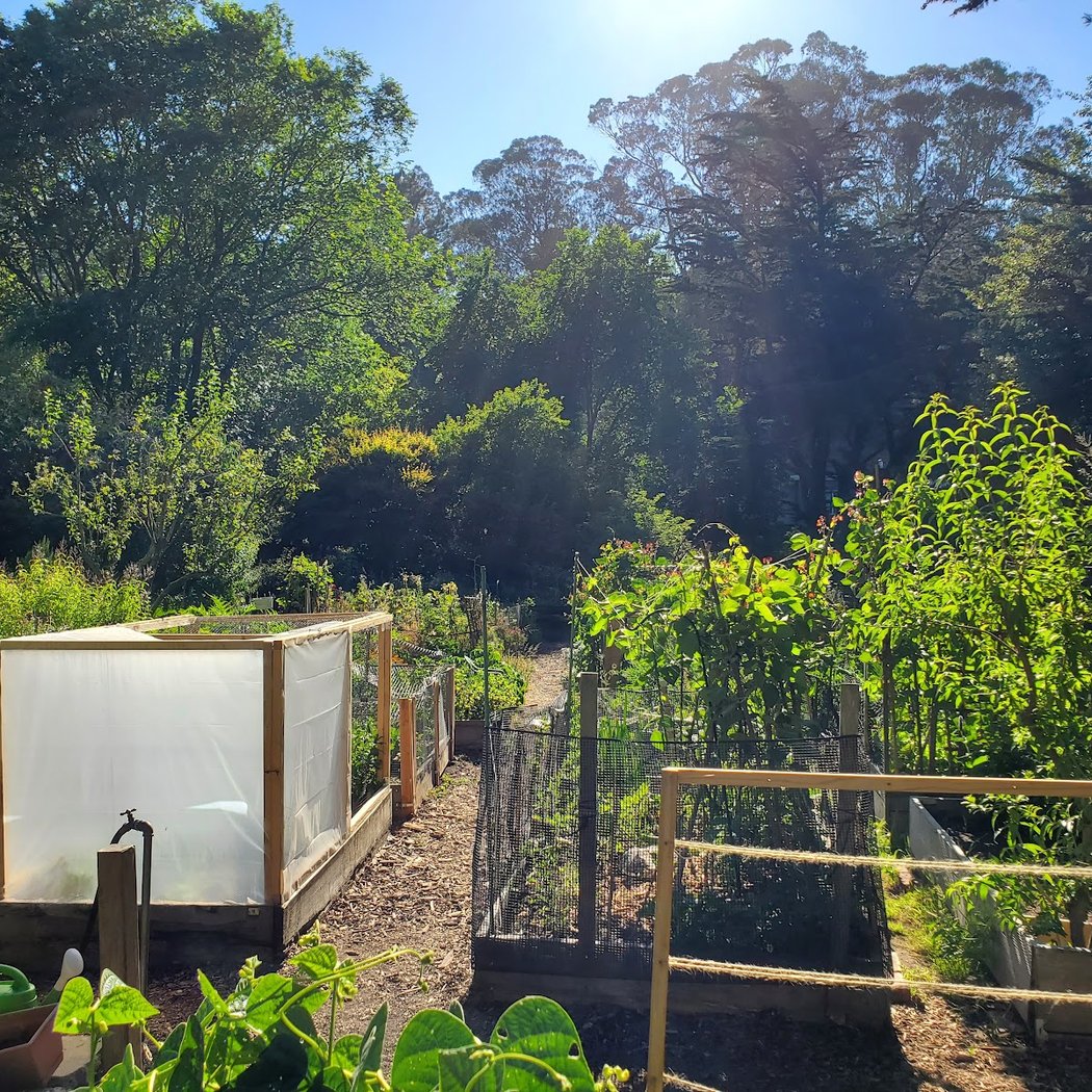 White Crane Springs 1