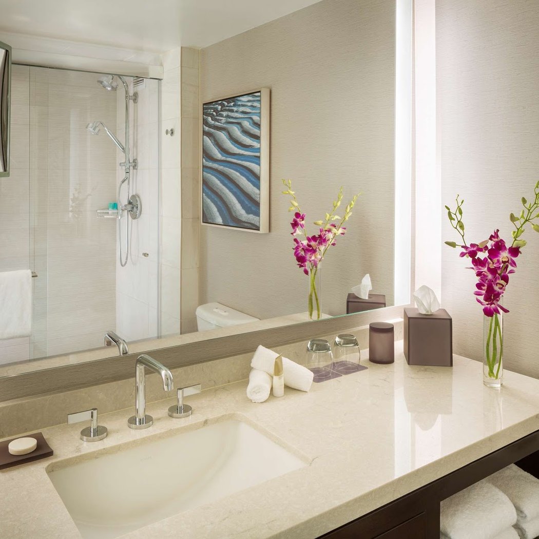 Hyatt Regency San Francisco Airport 3