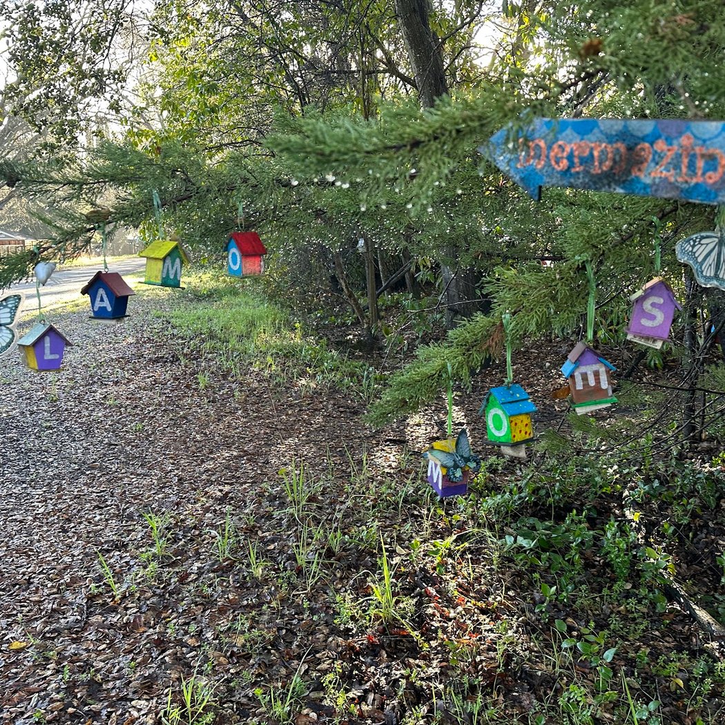 Bird houses 2