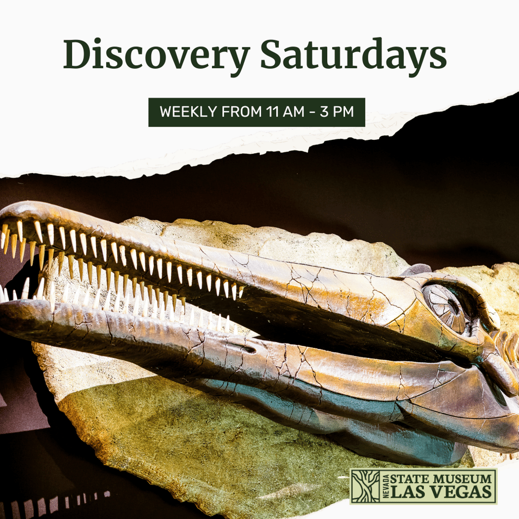 Discovery Saturdays 3