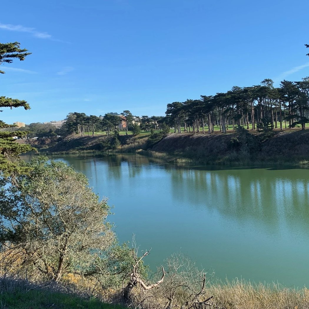 Lake Merced 3