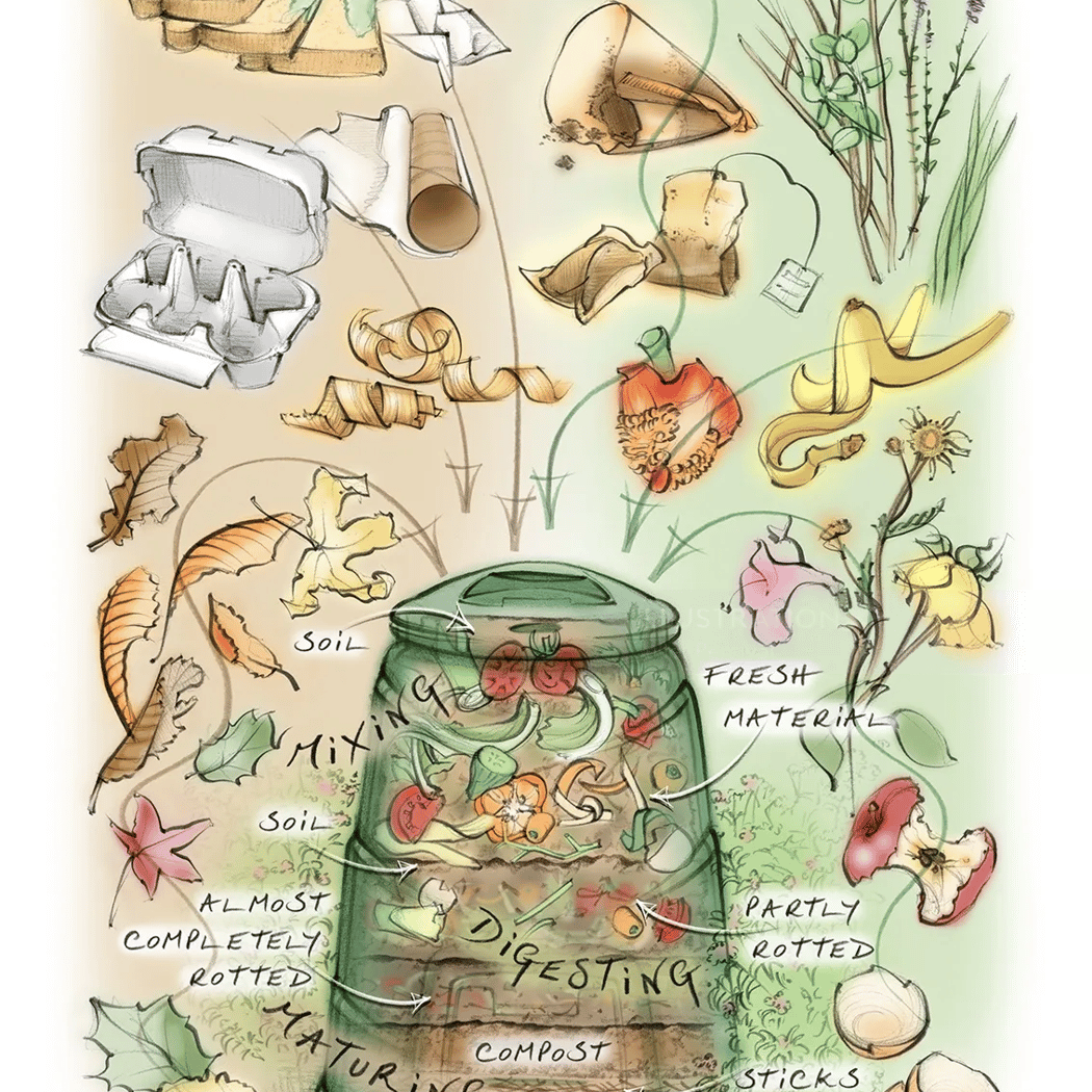 Backyard Composting 101 3
