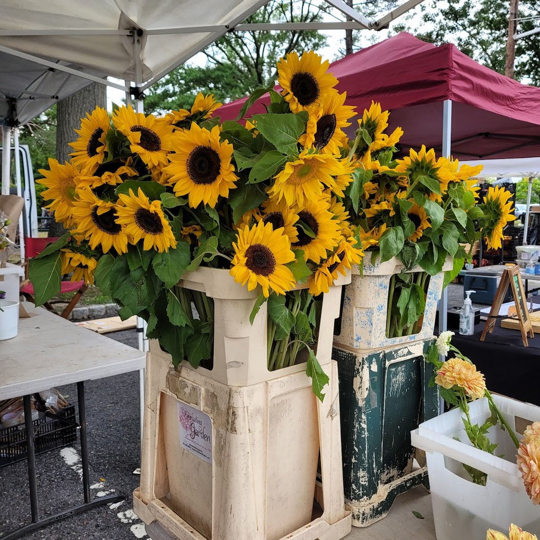 Montclair Farmers Market Walnut St. Station 1
