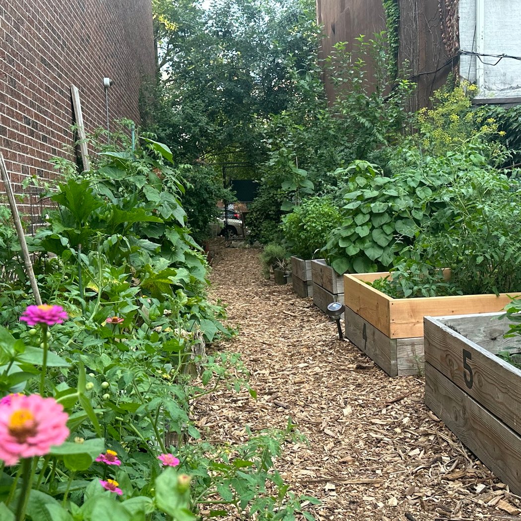 Brooklyn's Finest Garden 1