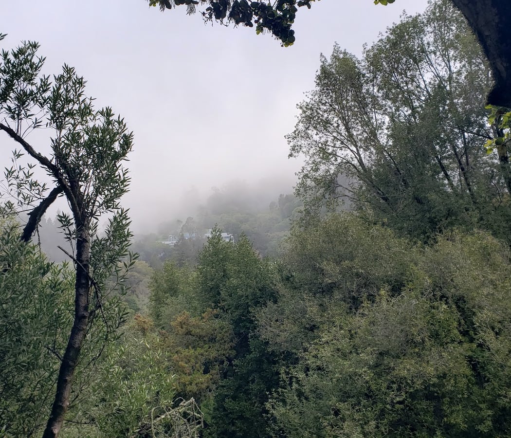 Woodbridge Metcalf Grove 2