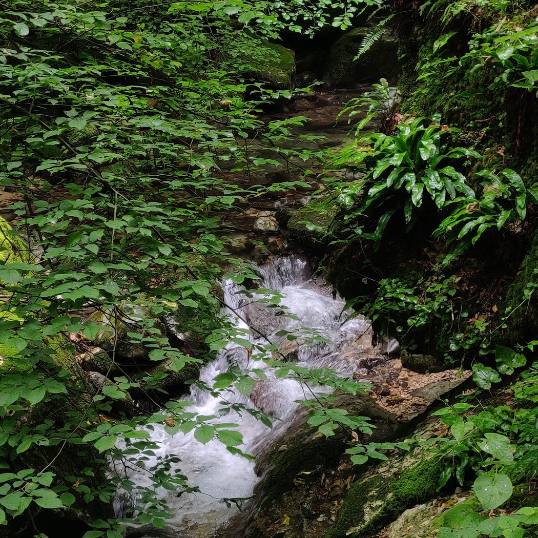 Canyon FURON (Départ Haut) 1