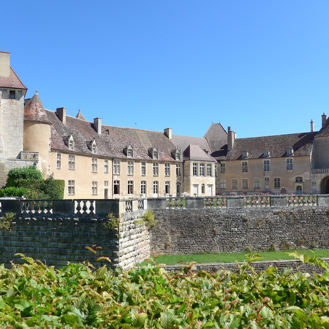 Époisses 3