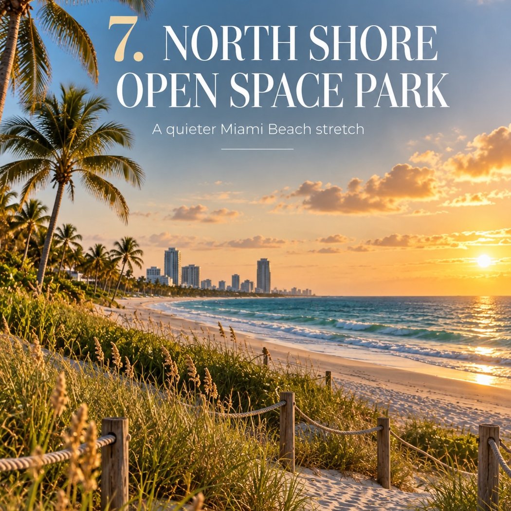 Open Space Park