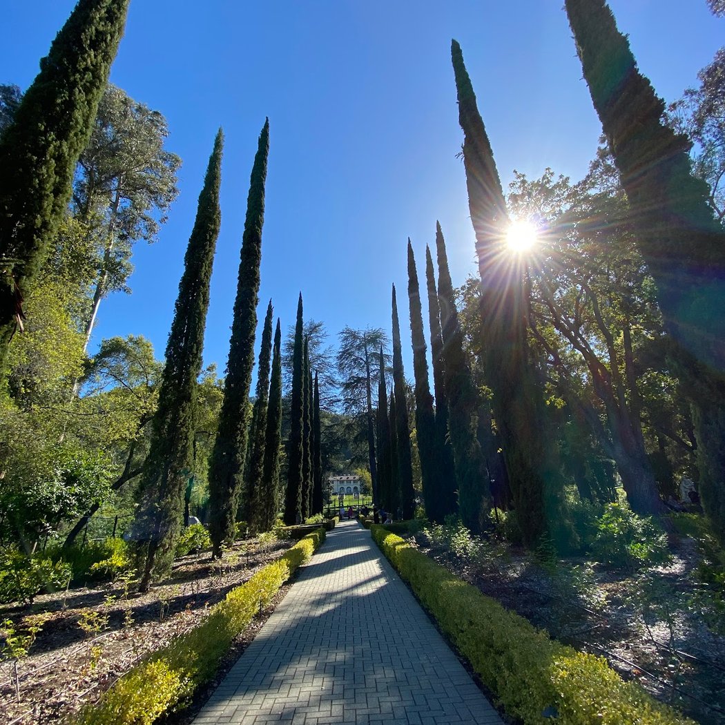 Villa Montalvo Gardens 2