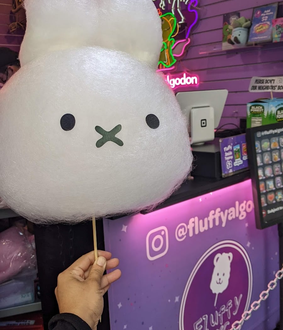 Fluffy nyc 3
