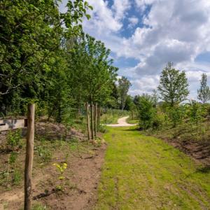 Bois de Charonne 1