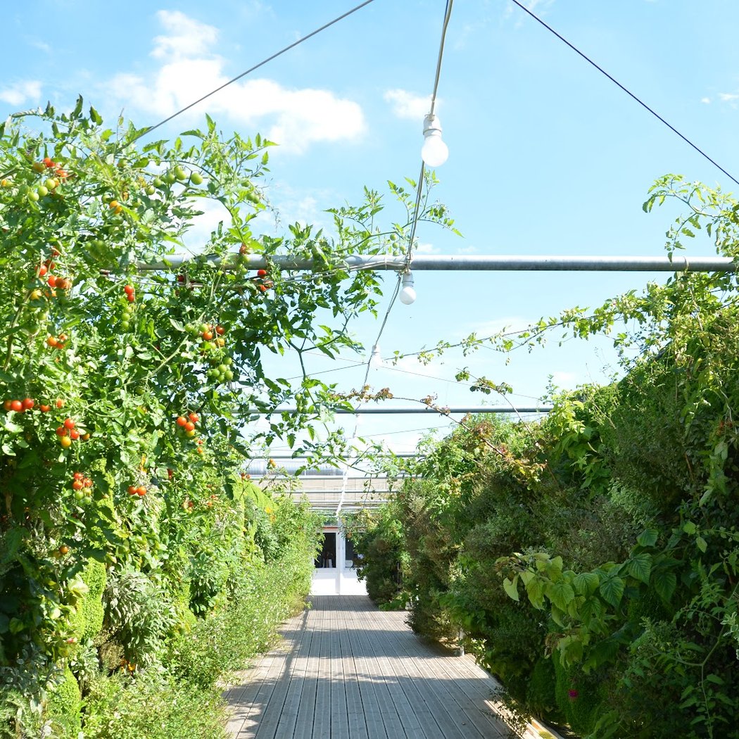 Perché Marais Garden 3